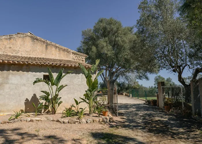 Llampi, Naturaleza, Piscina Y Encanto Mallorquin Reigosa